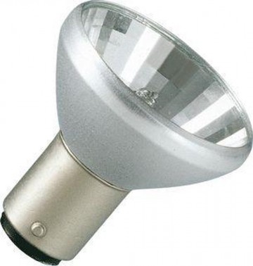 Downlight halogeen